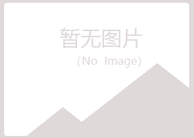 河池夏青能源有限公司